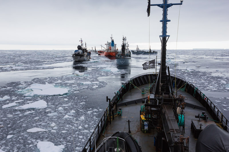SS fleet stopping the illegal refuelling © Sea Shepherd / Marianna Baldo